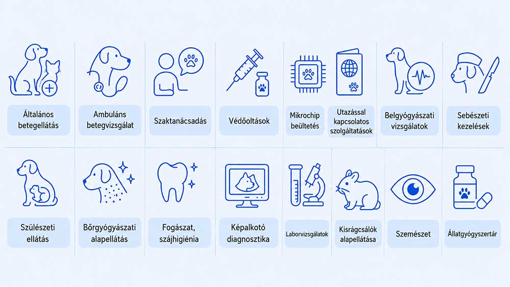 szolgaltatasok-kezdo